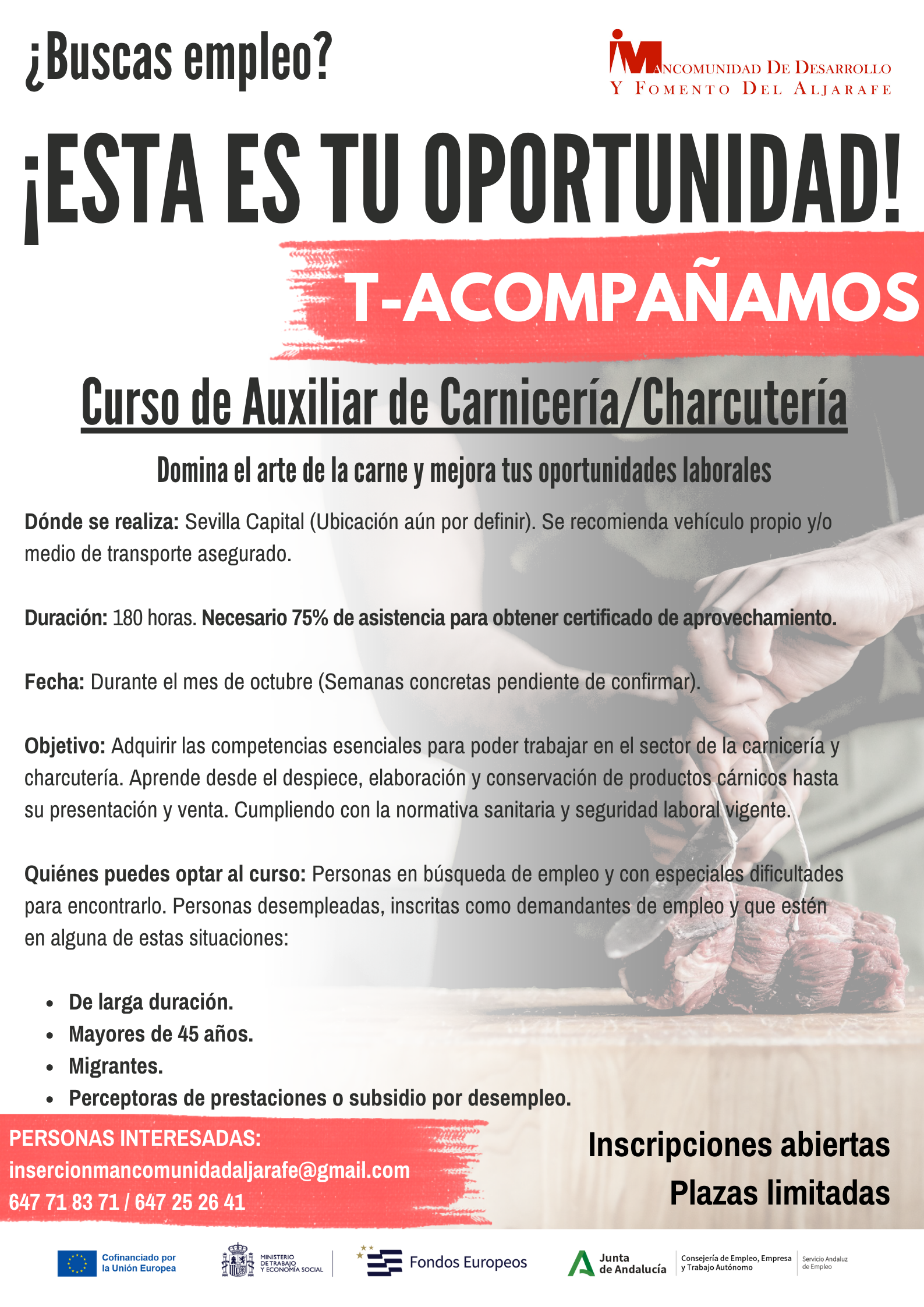 Cartel PIIL curso carnicero